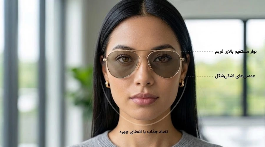 فریم خلبانی