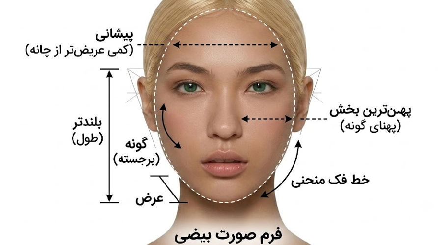 ویژگی صورت بیضی